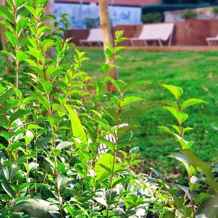 Mejores Vistas De Salamanca!!! Daire Salamanca