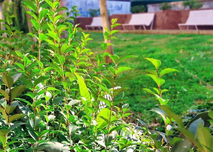 Mejores Vistas De Salamanca!!! アパート サラマンカ